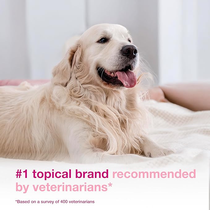 Douxo S3 Calm Mousse, Contains 0.75% Ophytrium, Soothing, For Itchy, Irritated or Allergic Skin, For Dogs and Cats, 5.1 fl. oz. (150mL)