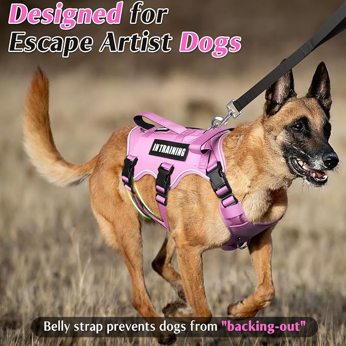 Escape Proof Dog Harness with Double Handle+4 Removable Patches | Service Working Molle Harness with Double Handle for Medium Dogs, Tactical Pet Reflective Vest for Walking Hiking Hunting