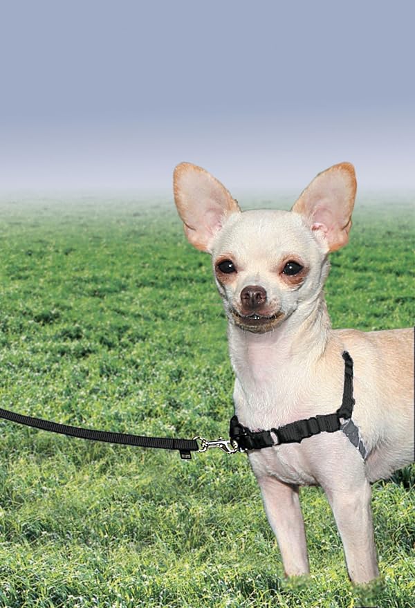 PetSafe Easy Walk Harness, No Pull Dog Harness, Black, Petite | Patented Martingale Loop Gives Gradual Shoulder Pressure to Stop Pulling, Front-Chest Leash Clip Prevents Gagging