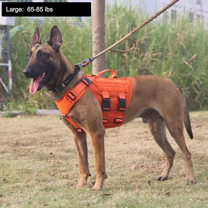 ICEFANG GN3 Tactical Dog Harness with 6X Buckle,Dog Molle Vest with Handle,3/4 Body Coverage,Hook and Loop Panel for ID Patch,No Pulling Front Clip (L (28"-35" Chest), Orange) | Control Handle,MOLLE Panel,Front Hook,3 Leash Clips,Soft Padded,for Walkin...