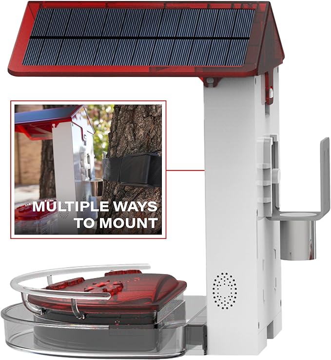 Quick Setup Smart Solar Hummingbird Feeder with Camera 1080P 2MP High-Def and WiFi AI Bird Identification Birdfeeder, Ant Guard Moat, Squirrel Alarm, Removeable Tray, Identifies 10,000+ Birds