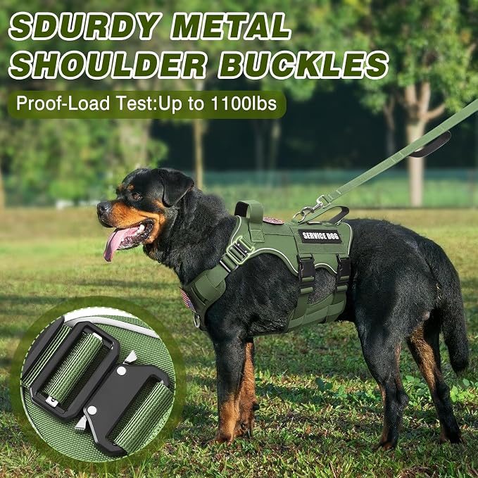 Service Dog in Training Vest and Leash Set+10 Patches,Escape Proof | Heavy Duty Tactical Dog Harness with Metal Buckles for Medium Sized Dogs,No Pull Front Back Clips,for Training Hiking,Green M