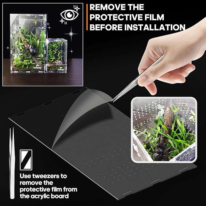 Acrylic Jumping Spider Enclosure - Insect Terrarium for Spiders, Mantises, Tarantulas & Frogs