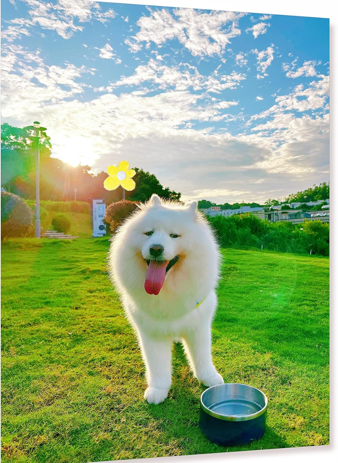 IKITCHEN Dog Bowl for Food and Water, 40 Oz Stainless Steel Pet Feeding Bowl, Durable Non-Skid Double Wall Insulated Heavy Duty with Rubber Bottom for Medium Large Sized Dogs (40 Ounces/5 Cup, Blue)