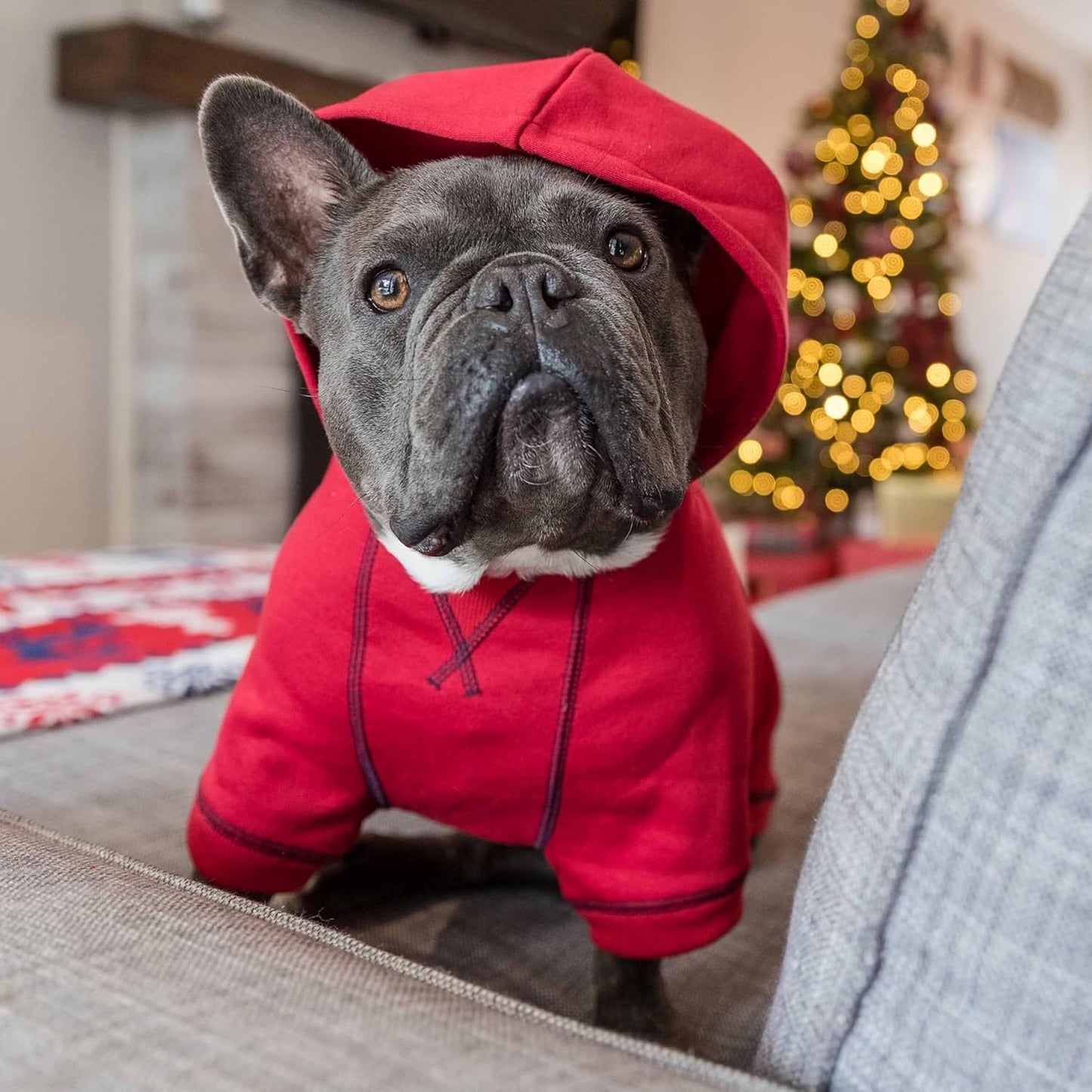 Blueberry Pet Essentials Soft & Comfy Better Basic Cotton Blend Dog Hoodie Sweatshirt in Red, Back Length 18", Pack of 1 Jacket for Dogs