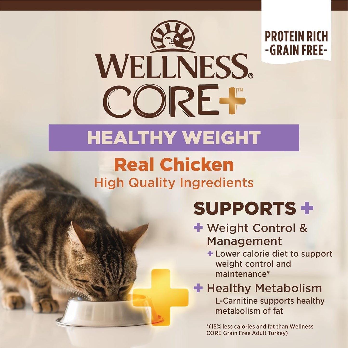 Wellness CORE+ Adult Dry Cat Food for Indoor & Outdoor Cats, Grain Free, Natural, Healthy Weight, Chicken and Chicken Meal (4.75 Pound Bag)