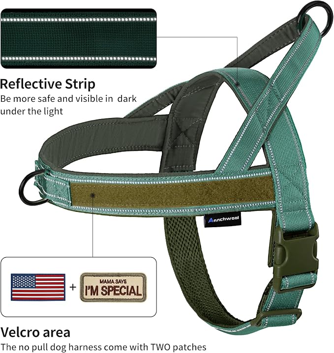 Annchwool No Pull Dog Harness with Soft Padded Handle,Reflective Strip Escape Proof and Quick Fit to Adjust Dog Harness,Easy for Training Walking for Small & Medium and Large Dogs(Green,M)