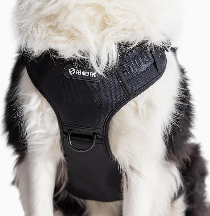 Fei & Eve Classic Dog Harness, MagEase Magnetic Buckle | 3-Point No-Pull Control, Dual Handle Support, 900D Nylon, Tactical Patch Panel, Heavy Duty, Small, Black