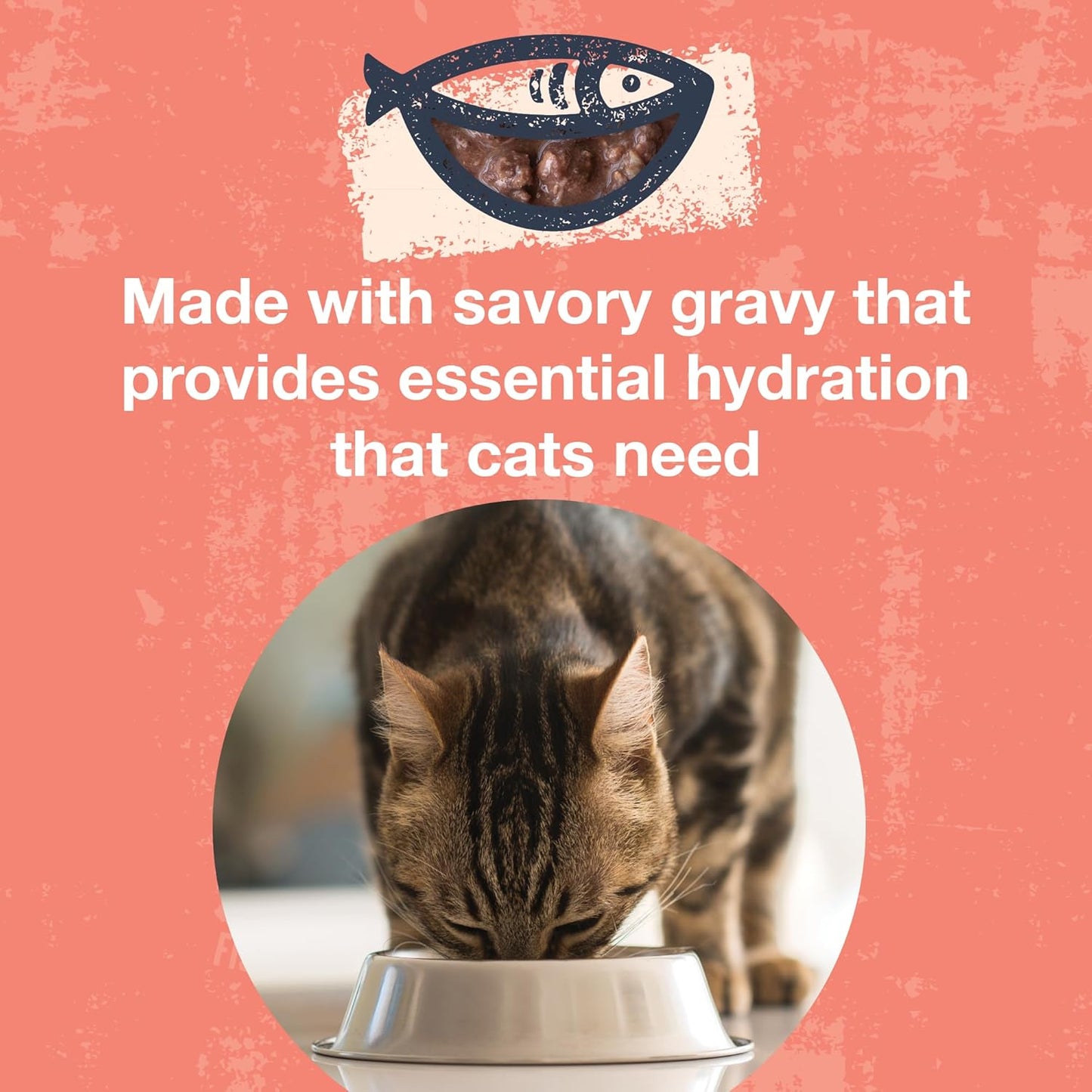 KOHA Poké Bowl Tuna & Salmon Entree in Gravy for Cats, 12-Pack of 3oz Pouches