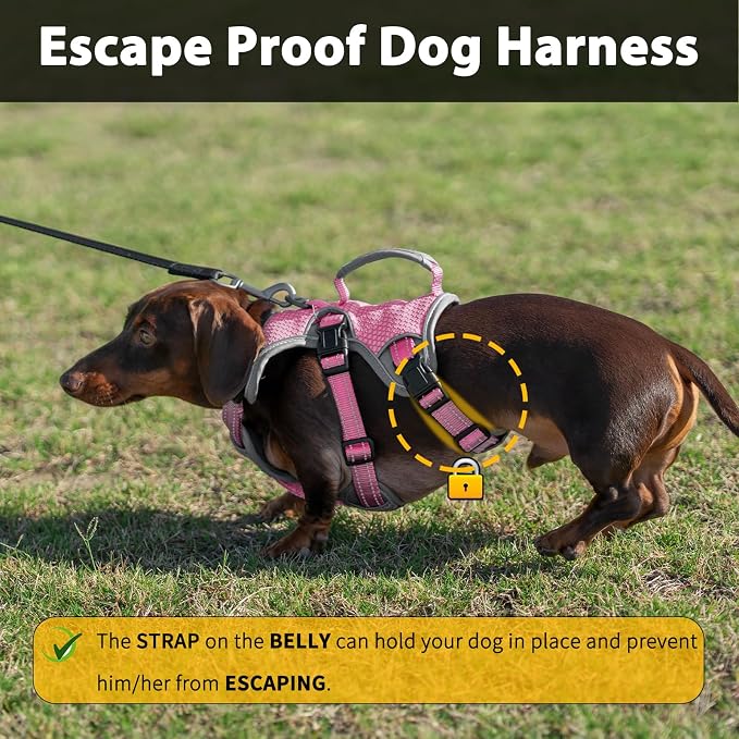 Escape Proof Dog Harness, Dachshund Harness, Reflective Dog Harness with Handle, Durable,Adjustable Vest for Small Medium Large Dogs Walking, Training, and Running Gear (Pink,M)