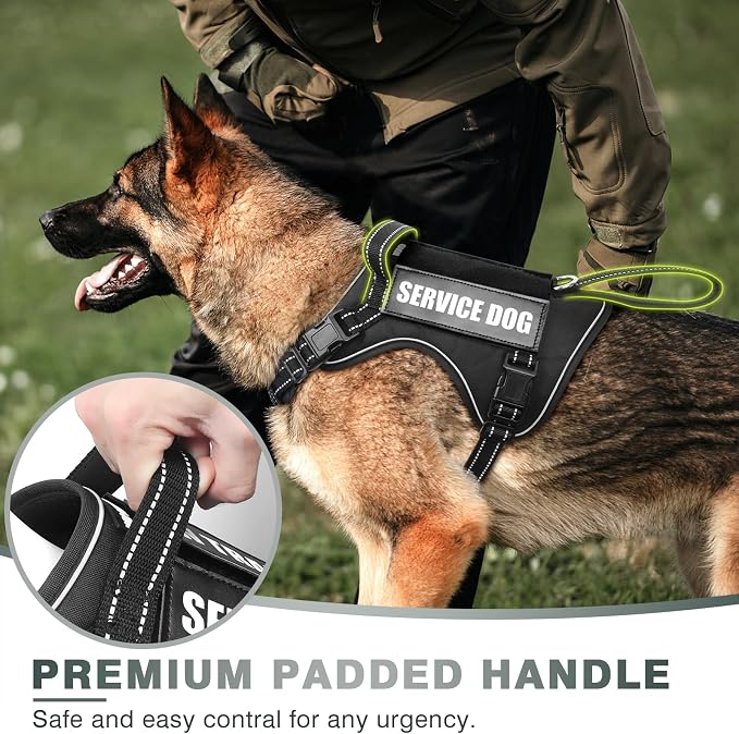 Tactical Dog Harness, No Pull Dog Harness for Medium Large Dogs with Handle & Molle, Military Service Dog Vest Harness in Training Pet Harness for Small Dogs