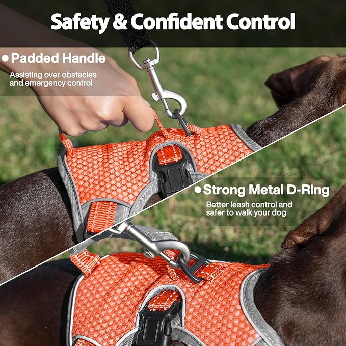 Escape Proof Dog Harness, Dachshund Harness, Reflective Dog Harness with Handle, Durable,Adjustable Vest for Small Medium Large Dogs Walking, Training, and Running Gear (Orange,L)