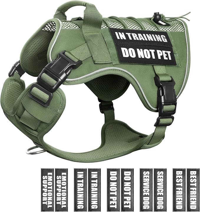 Service Dog in Training Mesh Harness with 10 Removale Pet Patches | Breathable material, adjustable straps, reflective trim, lightweight but durable, great for training, walks, and outings