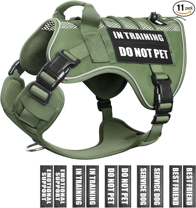 Service Dog in Training Mesh Harness with 10 Removale Pet Patches | Breathable material, adjustable straps, reflective trim, lightweight but durable, great for training, walks, and outings