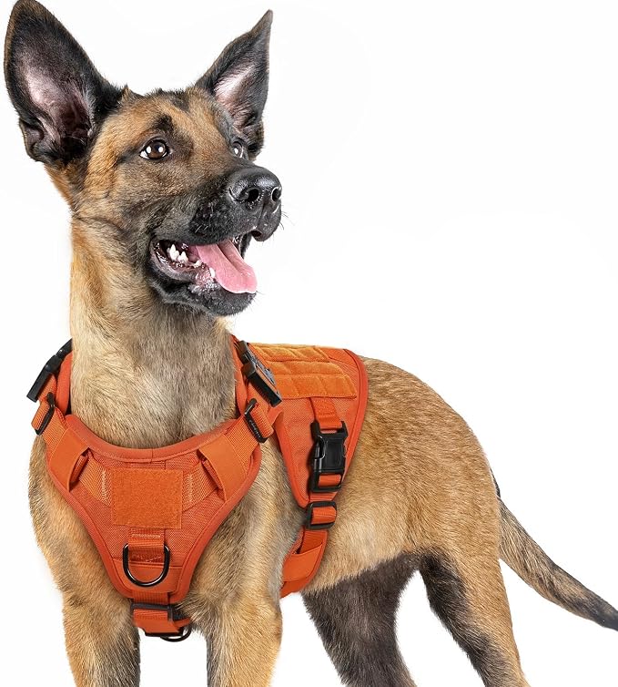 rabbitgoo Tactical Dog Harness for Small, Heavy Duty Military No Pull Vest | Sturdy Metal Buckles, 5 Adjustments, Molle System, Powerful Pullers for Training, Hunting, Outdoor, Orange, Small