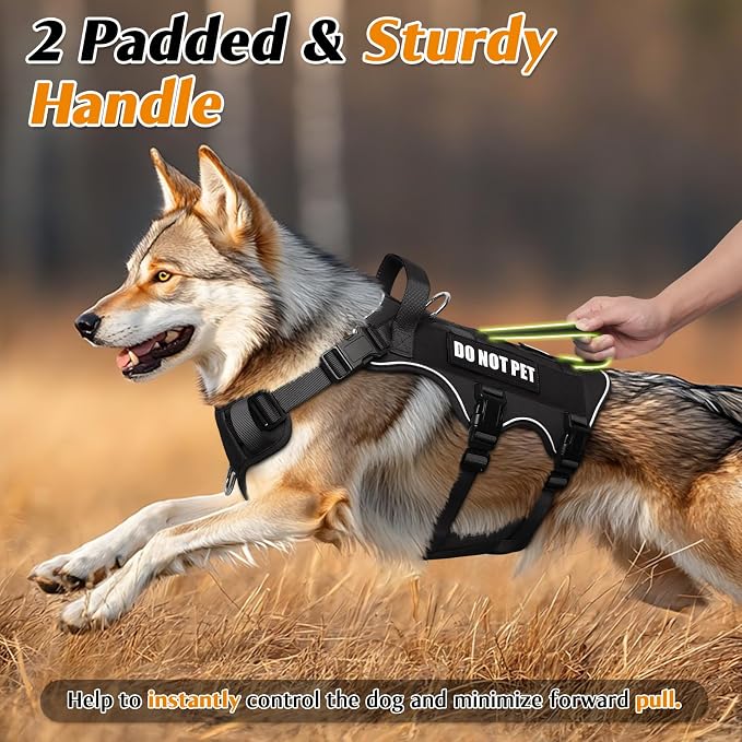 Escape Proof Dog Harness with Double Handle+4 Removable Patches | Service Working Molle Harness with Double Handle for Small Dogs, Tactical Pet Reflective Vest for Walking Hiking Hunting