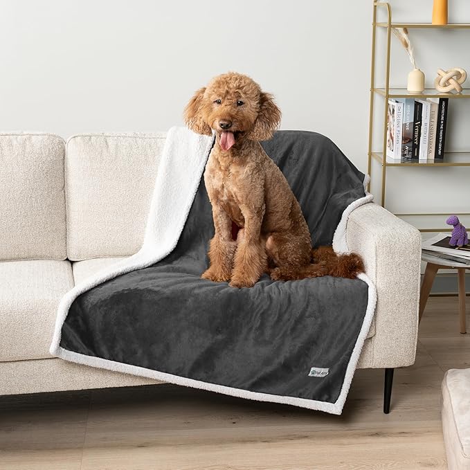 PetAmi Waterproof Dog Blanket for Medium Large XL Dog Puppy Cat Throw for Couch Cover Leakproof Protection, Sherpa Fleece, Reversible Soft Washable 80x60 Charcoal Gray