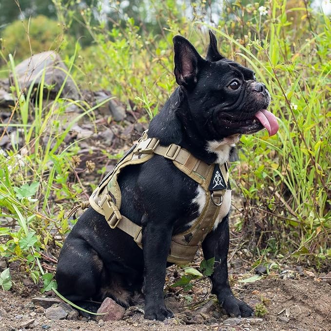 OneTigris Tactical Dog Harness with Handle No-Pull Adjustable for Small Dog | Military 1000D Pullable Nylon, Service Dog Vest with Hook & Loop Panels, Easy On & Off for Walking Hiking Training Camo XS