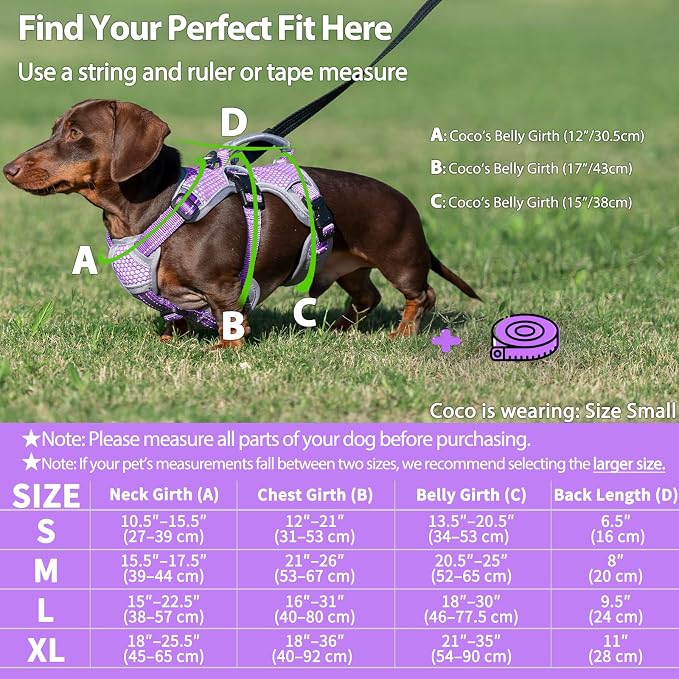Escape Proof Dog Harness, Dachshund Harness, Reflective Dog Harness with Handle, Durable,Adjustable Vest for Small Medium Large Dogs Walking, Training, and Running Gear (Lavender Purple,M)