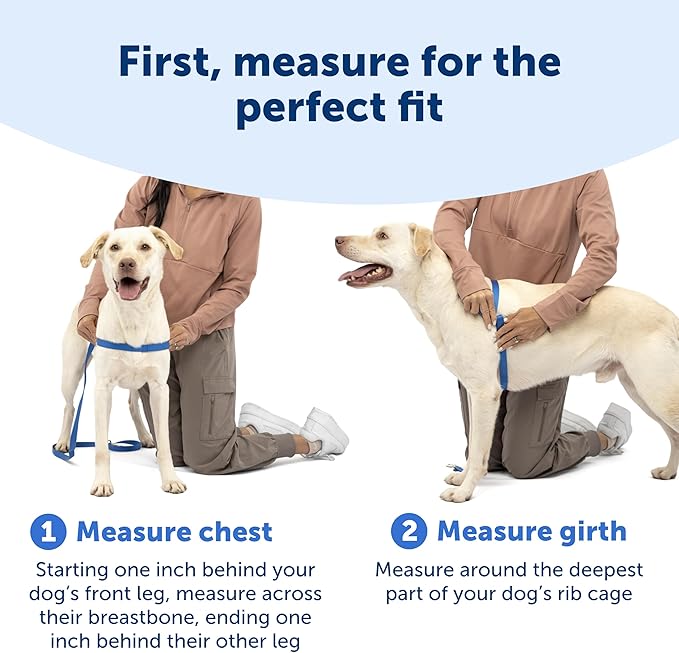 PetSafe Easy Walk Deluxe Dog Harness, No Pull Dog Harness – Perfect for Leash & Harness Training – Stops Pets from Pulling and Choking on Walks – Medium, Apple