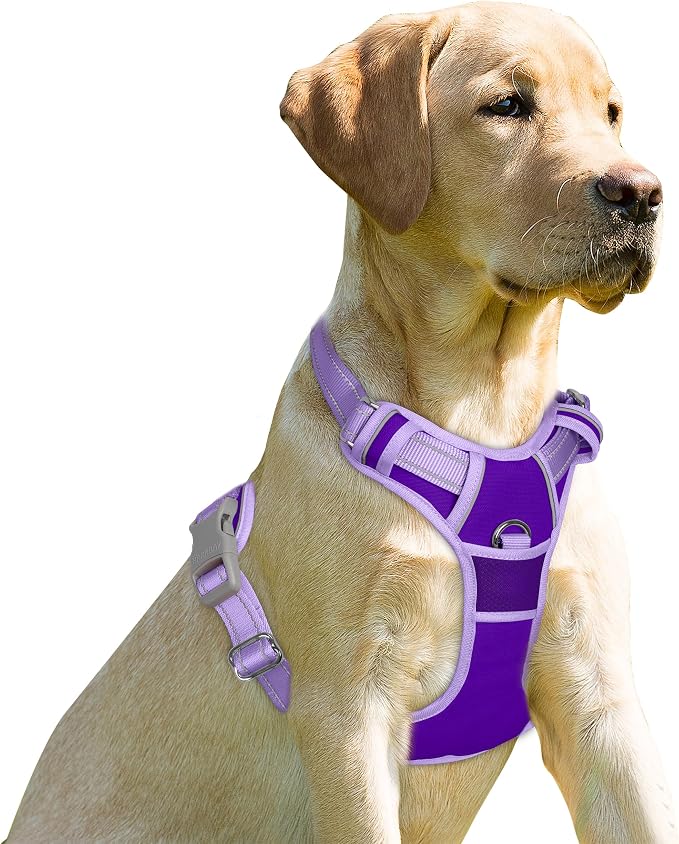 BARKBAY Dog Harness No Pull for Small Sized Dog Front Back Clips,Dog Vest | Soft Padded No Choke With Handle,Easy On&Off,Adjustable Reflective For Walking Training Running(Violet Purple & Purple,S)