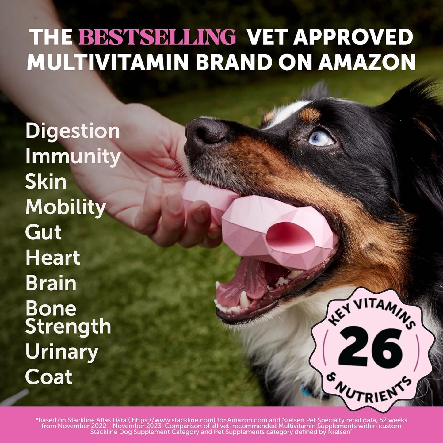 Multivitamin Dog Supplement, Glucosamine Chondroitin for Dogs, Probiotics, Omega Fish Oil, Dog Supplements & Vitamins, Vitamins for Skin and Coat Allergies (Chicken 90 ct)