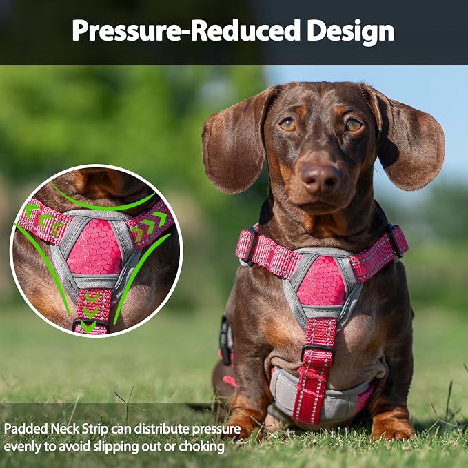 Escape Proof Dog Harness, Dachshund Harness, Reflective Dog Harness with Handle, Durable,Adjustable Vest for Small Medium Large Dogs Walking, Training, and Running Gear (Rose red,L)
