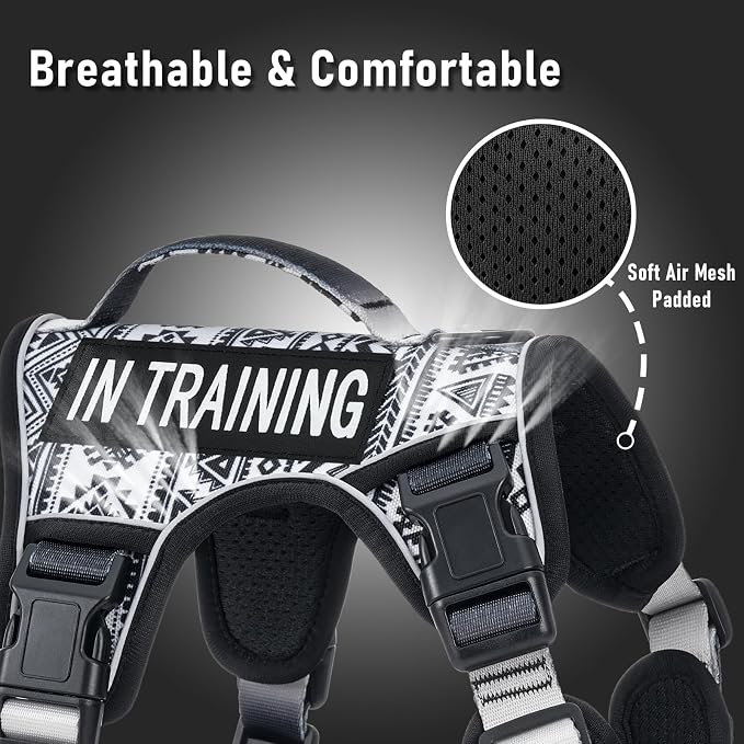 AUNZO No Pull Dog Harness for Small Dog Breeds, Anti-Escape Easy Walking Reflective Adjustable Lightweight Dog Vest with Breathable Oxford Material, Easy on Easy Off with Neck Buckle,Black Ethnic XS