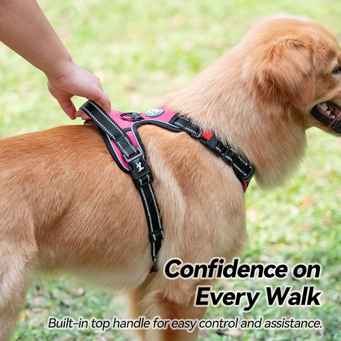PoyPet No Pull Dog Harness Medium with Front Clip & Neck Release Buckle | No Choke, Adjustable Vest, Reflective, Back Clip, Lockable, Soft Padded, Easy Control Handle for Walking Training, M, Pink