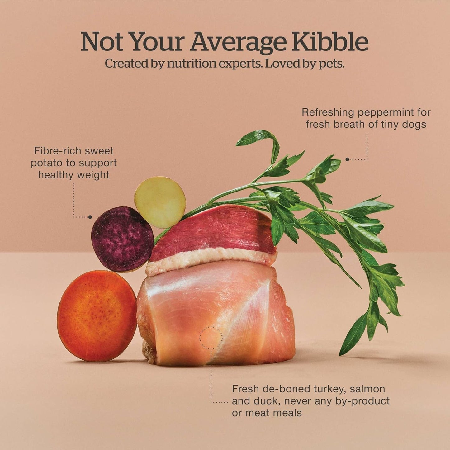 Now Fresh Grain-Free Small Breed Dry Dog Food with Turkey, Salmon & Duck, Healthy Kibble for Adults Made with Real Meat & Fish, Chicken-Free Recipe, Pumpkin & Probiotics for Good Digestion, 6 lb Bag