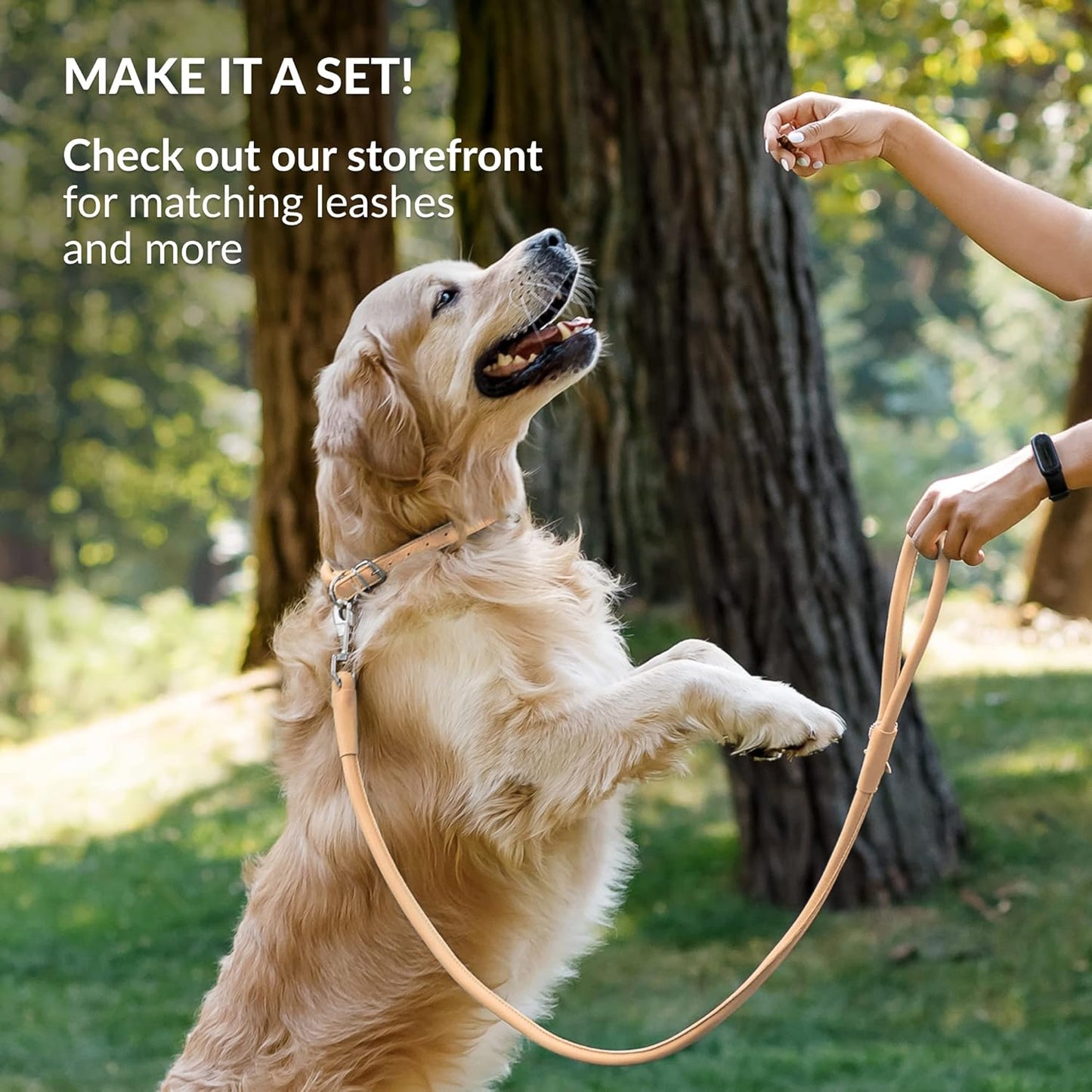 CollarDirect Rolled Leather Dog Collar, Soft Padded Round Puppy Collar, Handmade Genuine Leather Collar Dog Small Large Cat Collars 13 Colors (8-11 Inch, Beige Smooth)