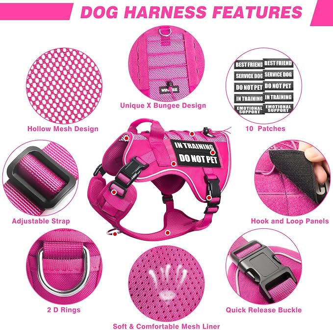 Service Dog in Training Mesh Harness with 10 Removale Pet Patches | Breathable material, adjustable straps, reflective trim, lightweight but durable, great for training, walks, and outings