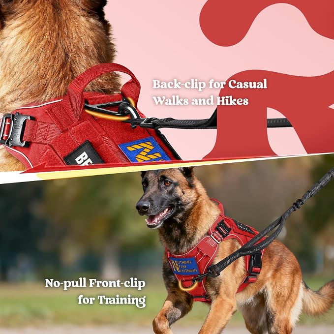 rabbitgoo Tactical Dog Harness X-Large, Heavy Duty Military No Pull Vest | Sturdy Metal Buckles, 5 Adjustments, Molle System, Powerful Pullers for Training, Hunting, Outdoor, Red Reflex, X-Large