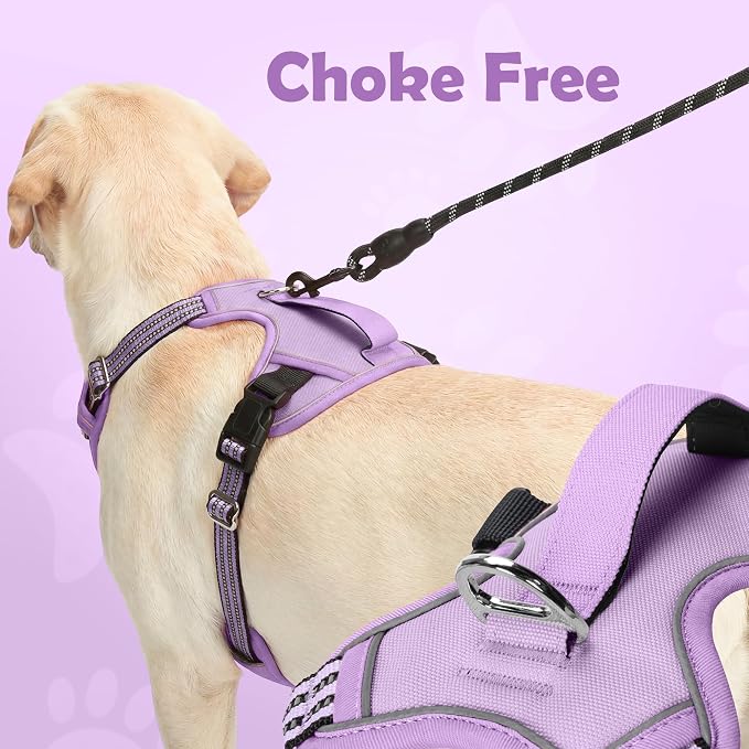 Dog Harness No Pull, Adjustable Pet Vest Harness, Super Soft Material with Vertical Handle Easy Control, Reflective Night Walking, 2 Leash Clips for Medium Sized Dogs, Purple, M