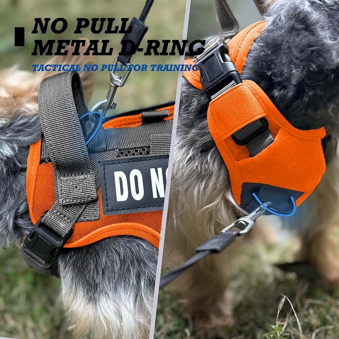 Tactical Dog and Cat Harness for XS and Small Puppy, Air Pet Vest No Pull with Reflective Do Not Pet Patches, Breathable Dog Molle Vests for Training Walking Hunting Orange