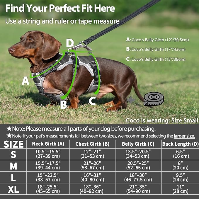 Escape Proof Dog Harness, Dachshund Harness, Reflective Dog Harness with Handle, Durable,Adjustable Vest for Small Medium Large Dogs Walking, Training, and Running Gear (Black,XL)
