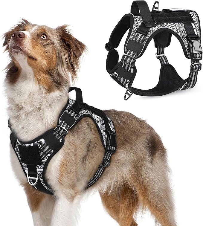 rabbitgoo Tactical Dog Harness for Medium, No Pull Military Service Vest | Molle & Handle, Heavy Duty, Adjustable, Reflective Straps, Easy Control for Training Walking, B&W Geometric, Medium
