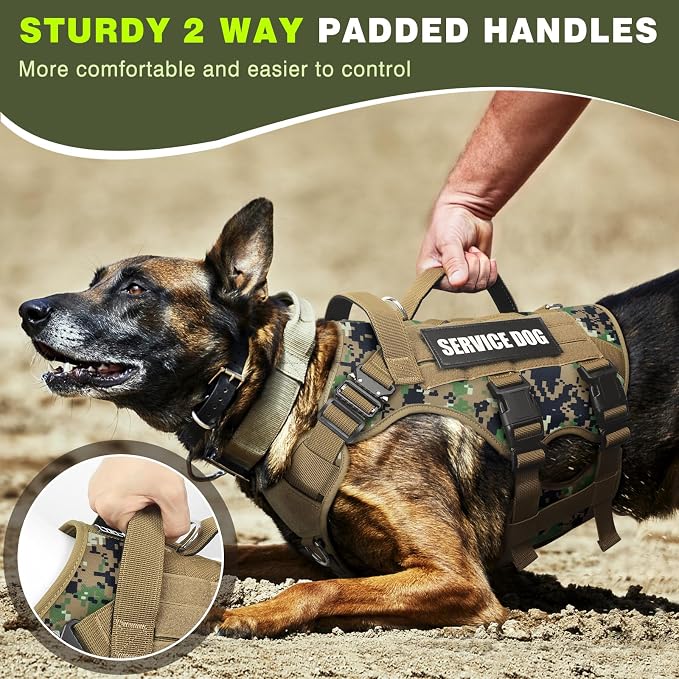 Tactical Dog Harness with Dog Leash, Service Working MOLLE Vest with 10 Pet Patches for Dog, No Pull Military Harness and Backpack for Training Hunting Walking