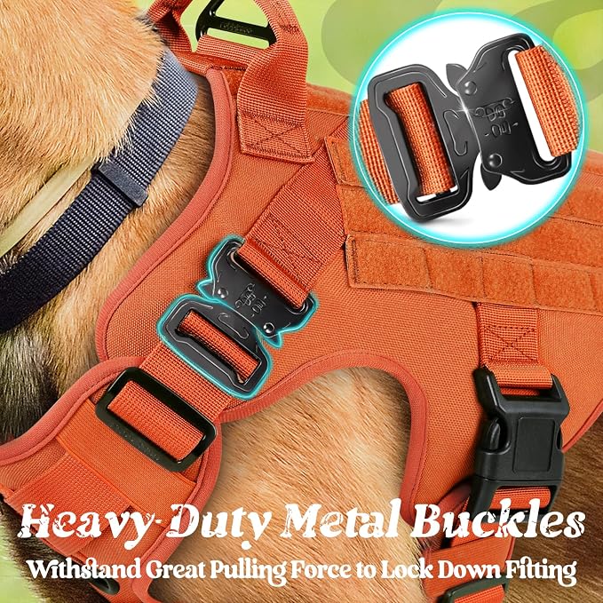 rabbitgoo Tactical Dog Harness for Small, Heavy Duty Military No Pull Vest | Sturdy Metal Buckles, 5 Adjustments, Molle System, Powerful Pullers for Training, Hunting, Outdoor, Orange, Small