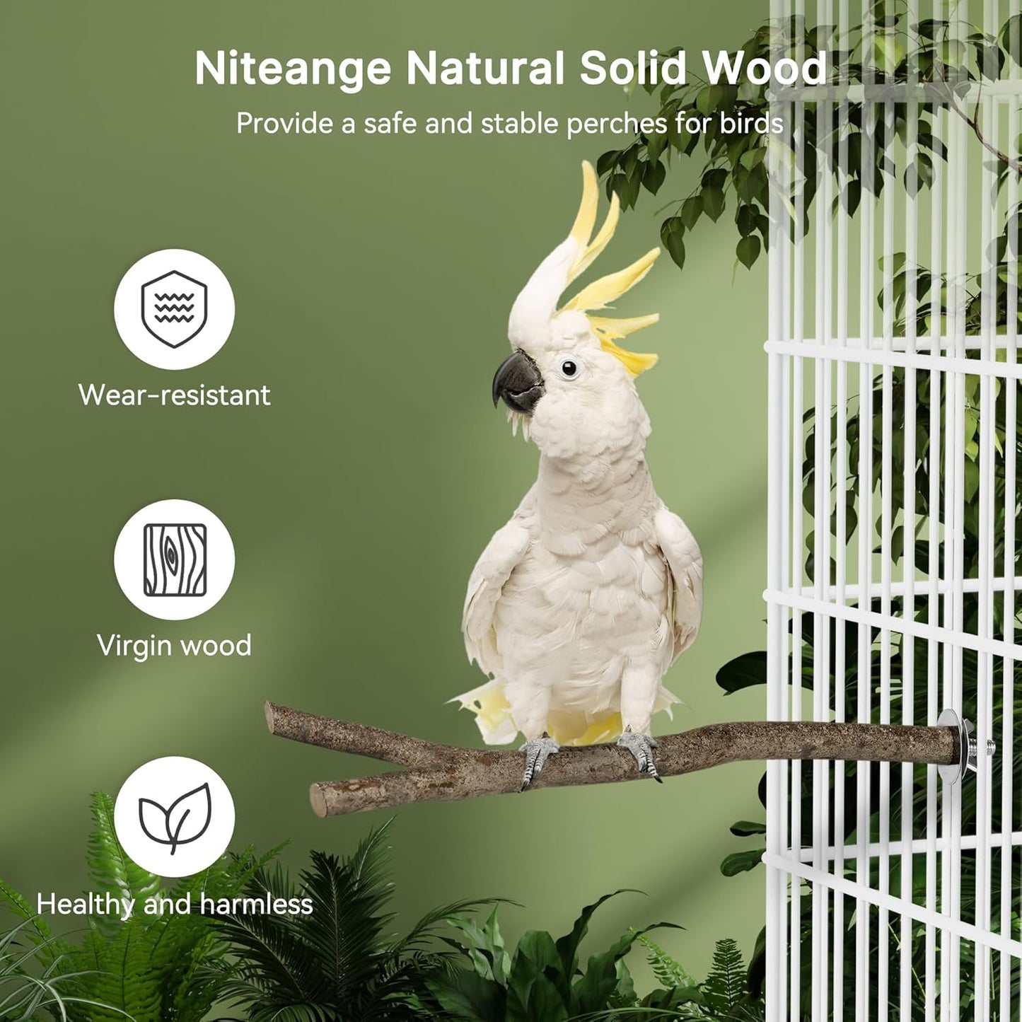 Niteangel Natural Wooden Perches for Bird Cages - Ideal for Cockatiels, Parakeets, Finches & Other Caged Birds (Natural Bark, 2 Pack)