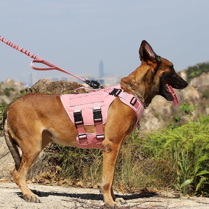 ICEFANG No Pull Tactical Dog Harness for Large Dogs,Adjustable Dog Vest | Control Handle,MOLLE Panel,Front Hook,3 Leash Clips,Soft Padded,for walking training,Pink,Large