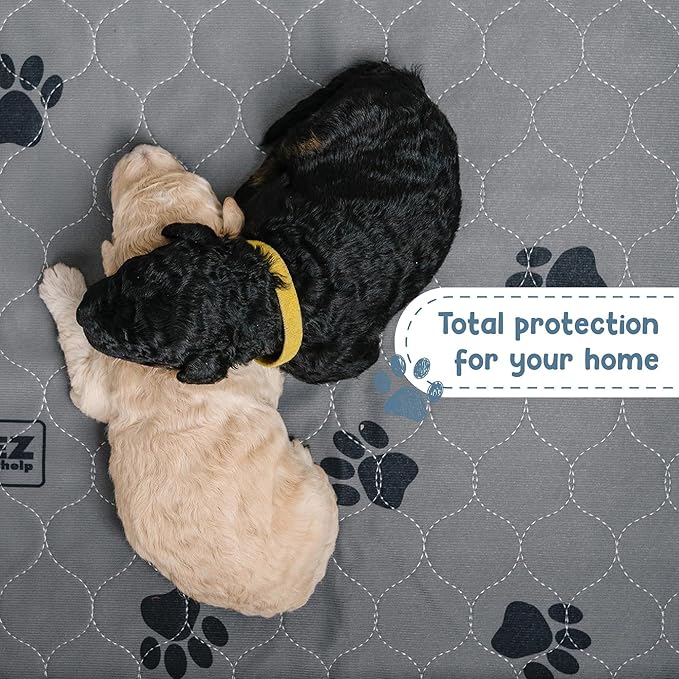 EZwhelp Pack of 2 Reusable Dog Pee Pad, Washable Slip-Resistant Waterproof Mat, 60 Inches