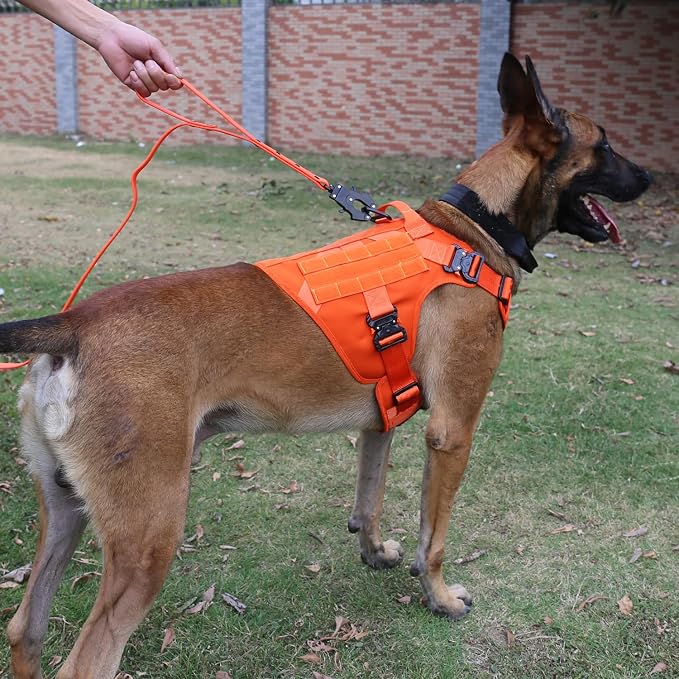 ICEFANG Tactical Dog Harness for Medium Dogs,Full Metal Buckles Dog Vest | with MOLLE, Reflective,Adjustable,2 Leash Clips,Control Handle,No Pull,Soft Padded,Orange,Medium