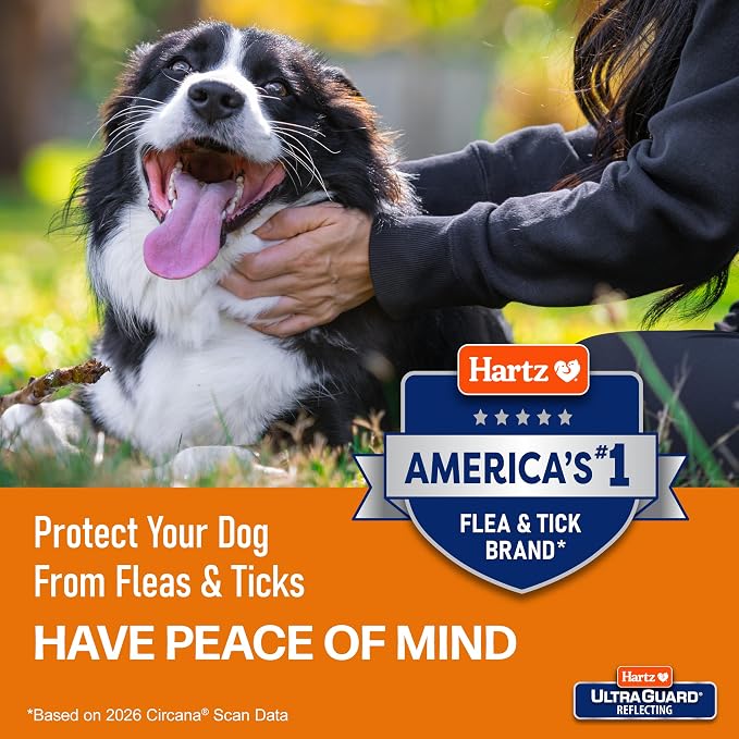 Hartz UltraGuard Plus Flea & Tick Home Spray, Kills Fleas and Ticks, Clean Fresh Scent, 16 Ounce