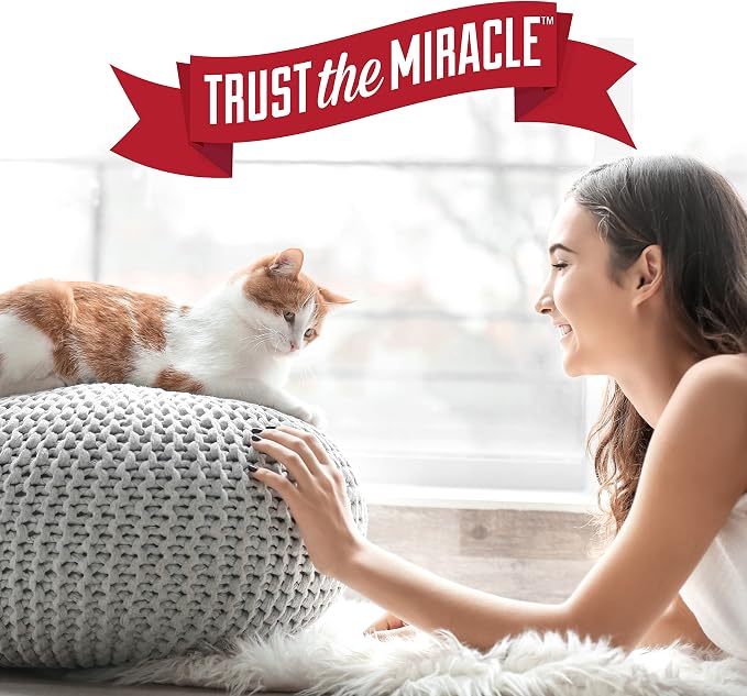 Nature's Miracle Just for Cats Oxy Stain and Odor Remover, 24 Fl Oz (Pack of 2)