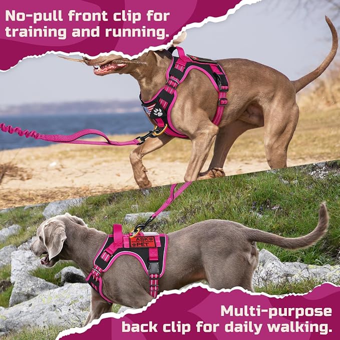 rabbitgoo Tactical Dog Harness for Small, No Pull Military Service Vest | Molle & Handle, Heavy Duty, Adjustable, Reflective Straps, Easy Control for Training Walking, Black & Rose Red, Small