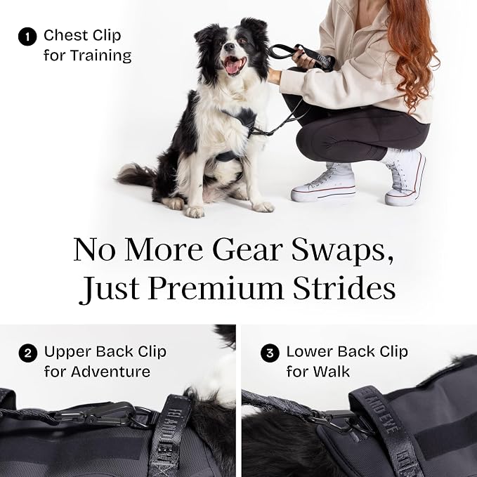 Fei & Eve Classic Dog Harness, MagEase Magnetic Buckle | 3-Point No-Pull Control, Dual Handle Support, 900D Nylon, Tactical Patch Panel, Heavy Duty, Small, Black
