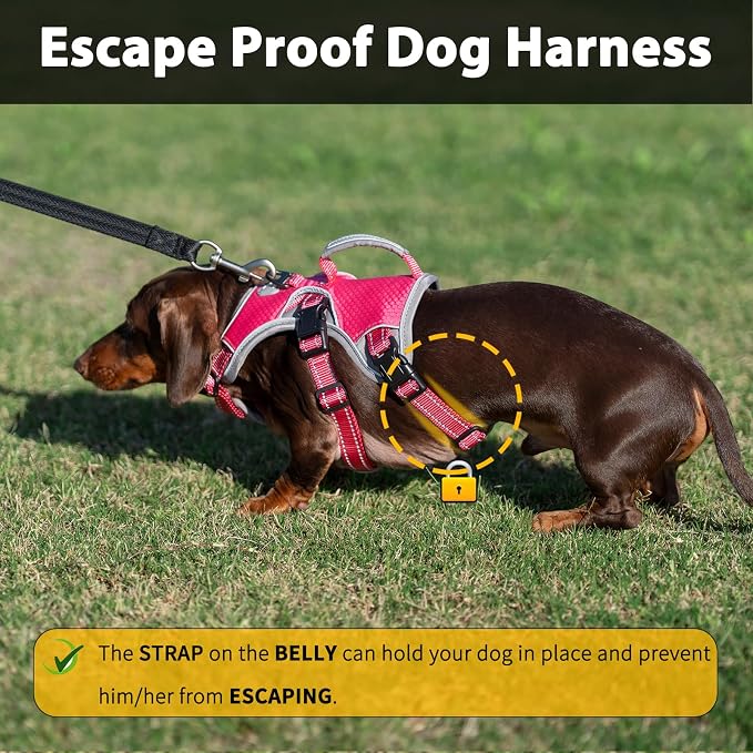 Escape Proof Dog Harness, Dachshund Harness, Reflective Dog Harness with Handle, Durable,Adjustable Vest for Small Medium Large Dogs Walking, Training, and Running Gear (Rose red,XL)