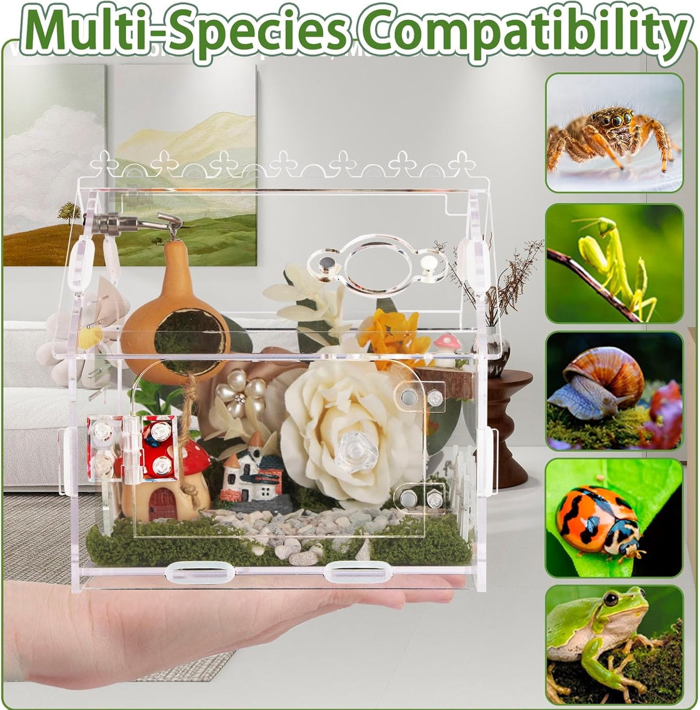 Magnetic Acrylic Terrarium Kit - 5.9"x3.9"x5.1" Jumping Spider Enclosure/Tarantula Cage with Secure Magnetic Latches, Ventilation & Escape-Proof Design - Reptile/Chameleon/Mantis Habitat