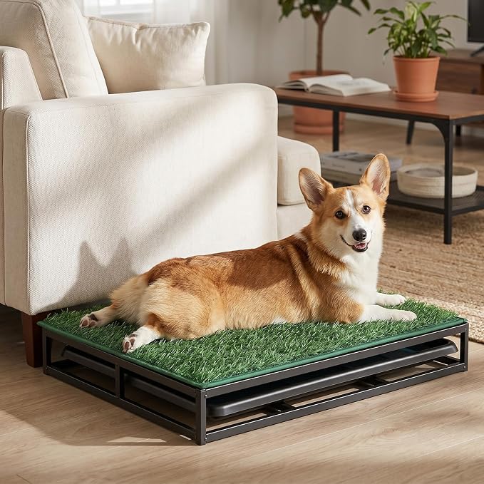 Dog Grass Pad with Tray, 30.71"L × 19.69"W × 3.15"H, 1 Reusable Artificial Turf for Dog Potty & 10 Pee Pads, Waterproof Non-Slip Washable Pee Pad Holder, Portable Dog Litter Box for Indoor/Outdoor Use
